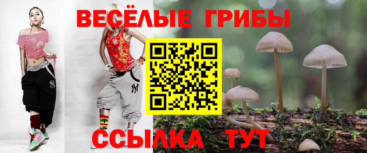 Южно-Сахалинск  Галлюциногенные грибы мухоморы  Вход с VPN 